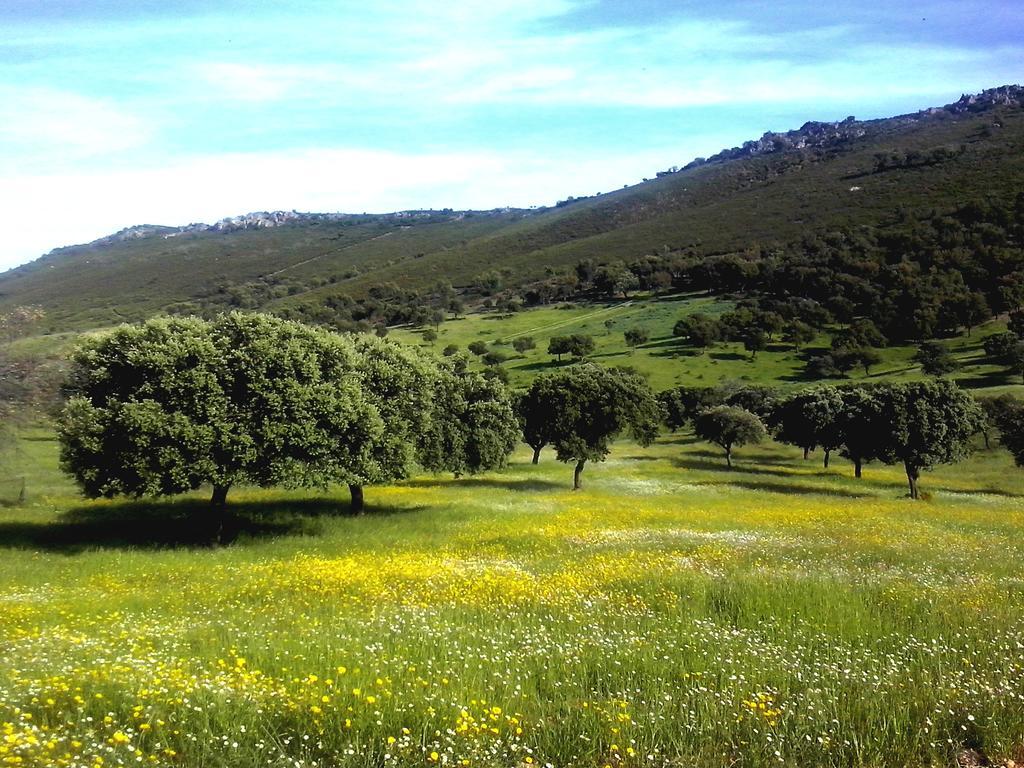 مالبارتيدا دي بلاسينثيا Casa Rural La Sierra De Monfraguee المظهر الخارجي الصورة